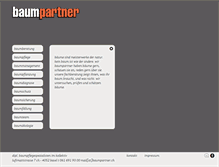 Tablet Screenshot of baumpartner.ch